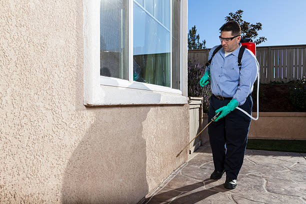 Best Emergency Pest Control  in Window Rock, AZ